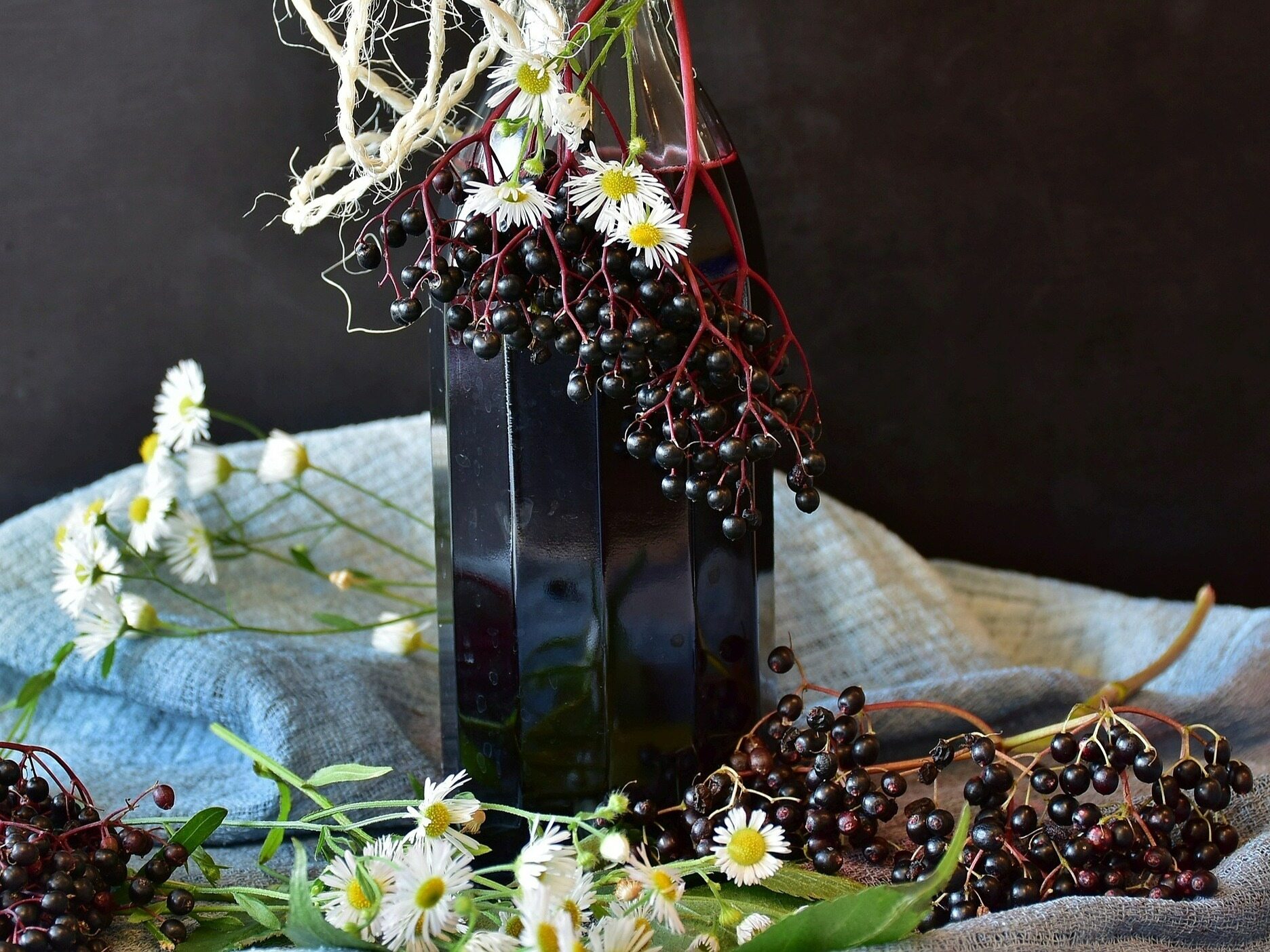 Black elderberry fruit tincture helps fight viruses.  Recipe