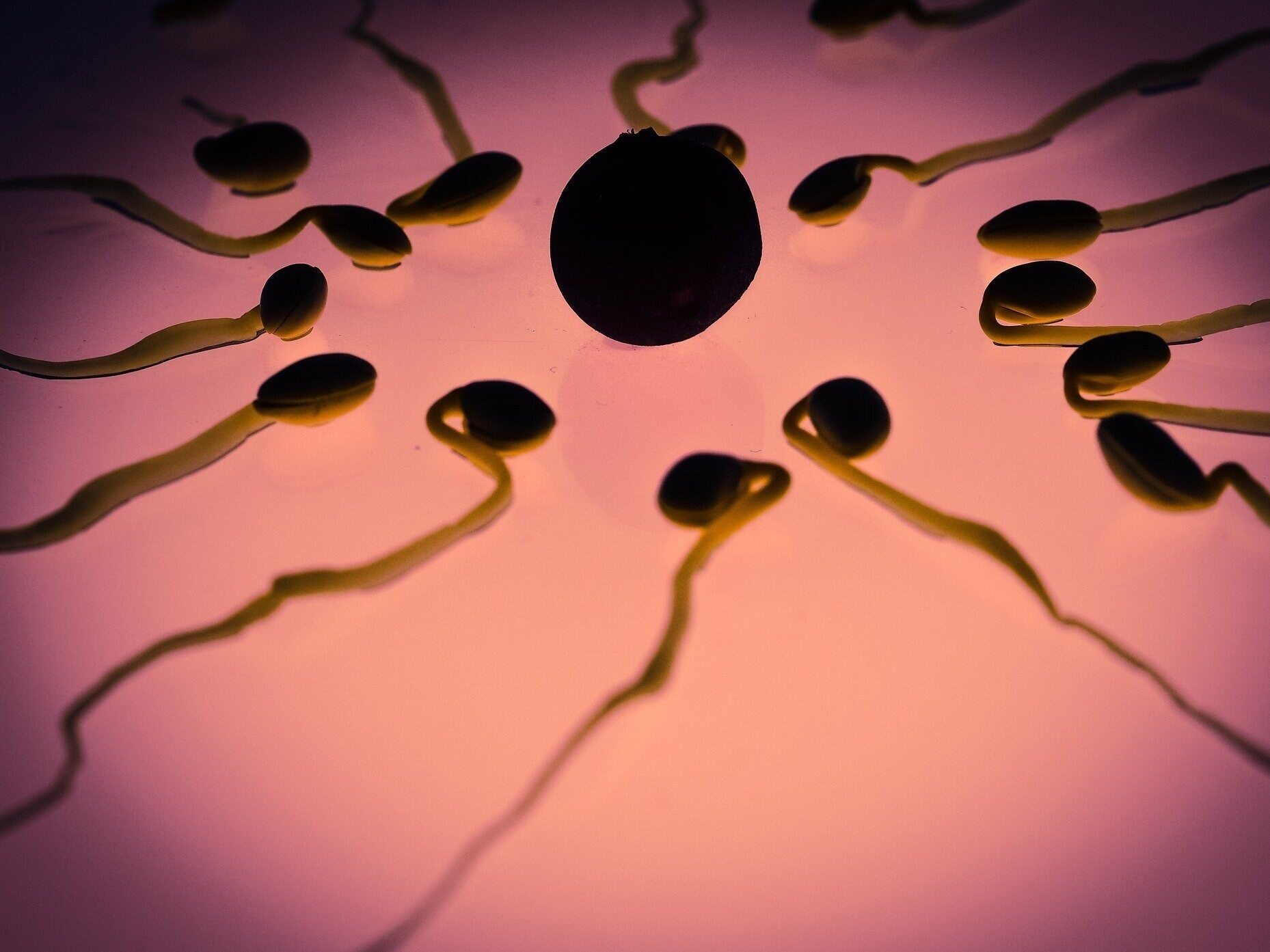 Blood in semen can have many causes.  What does this symptom mean?