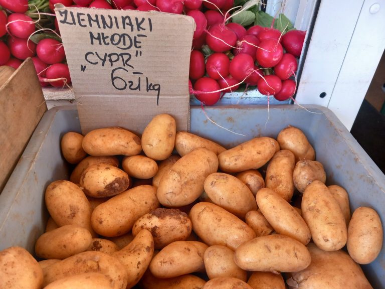 Even PLN 3.5 per kilogram of potatoes.  The price is almost twice as high as last year