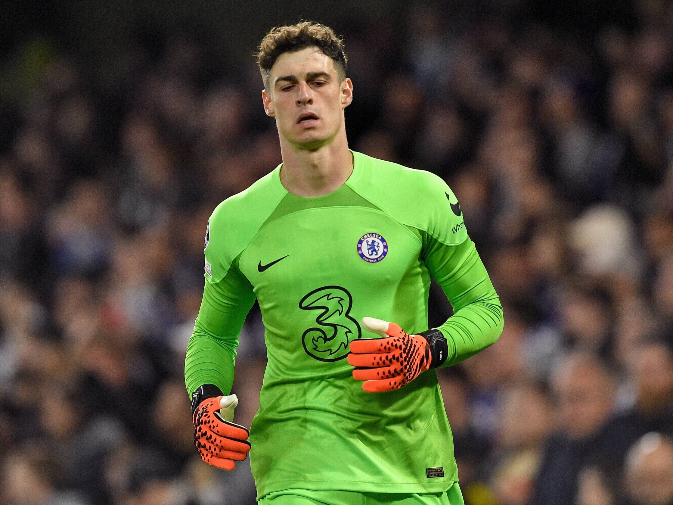 Real Madrid with an emergency boost.  The Chelsea goalkeeper will replace Courtois