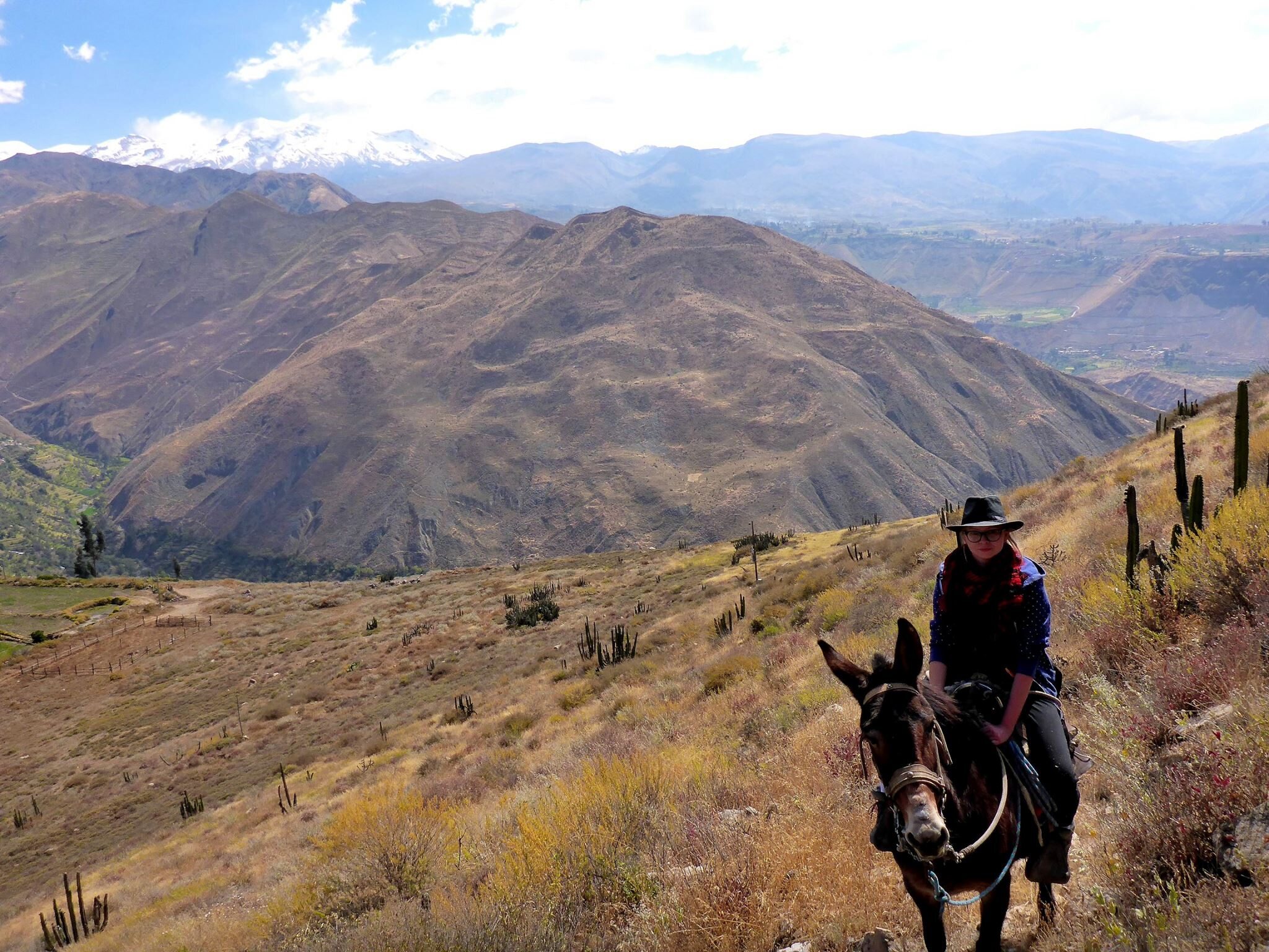Traveling on a donkey and chewing coca leaves.  A Polish bioarchaeologist conducts extraordinary research in Peru