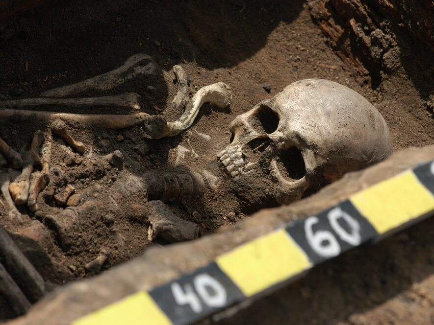 What does a forensic archaeologist do?  "It is invaluable help in the search for hidden corpses"