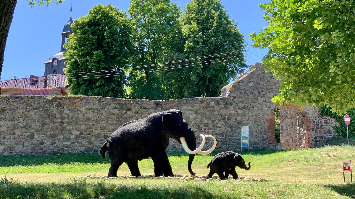 You can pet mammoths here.  The Avenue of Pleistocene Stars is a tourist hit of a town in Poland
