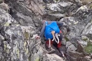 The tourist took a dog in a bag while climbing.  A surprising view in the Tatra Mountains