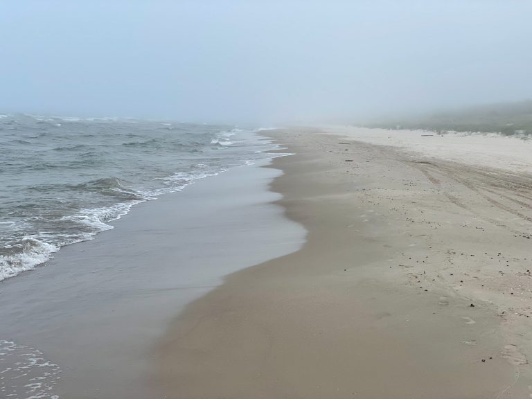 A dangerous pathogen in the Baltic Sea.  A 74-year-old man has died