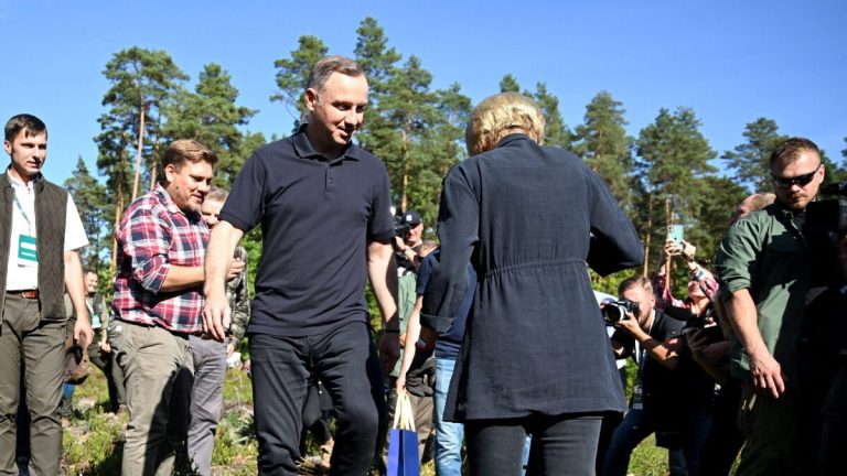 Andrzej Duda planted a forest in Suchedniów with his wife.  Trees were cut down in preparation