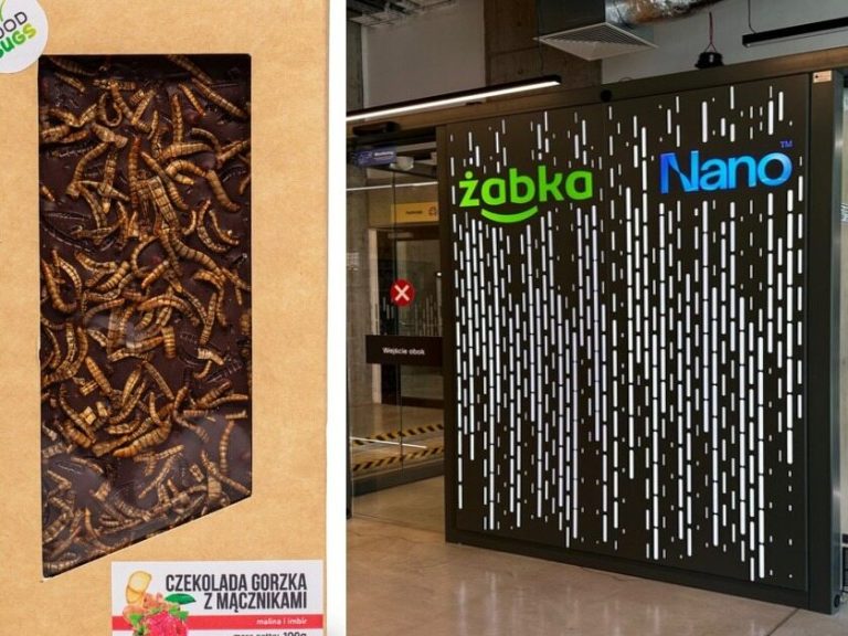 Edible crickets in the Żabki application.  We check prices