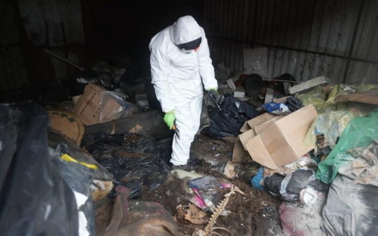 Mud, feces and dead animals.  Activists saved almost 60 dogs