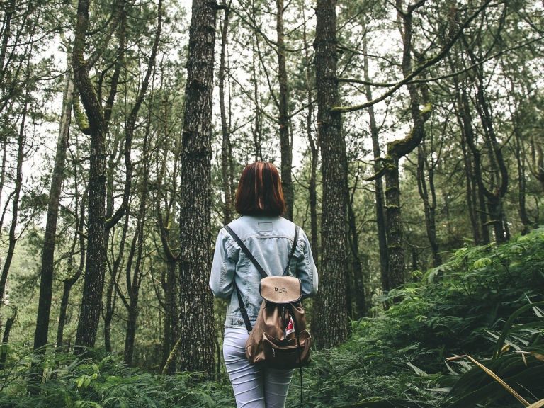 Walking in the forest is more beneficial to your health than we think.  It’s not just about well-being