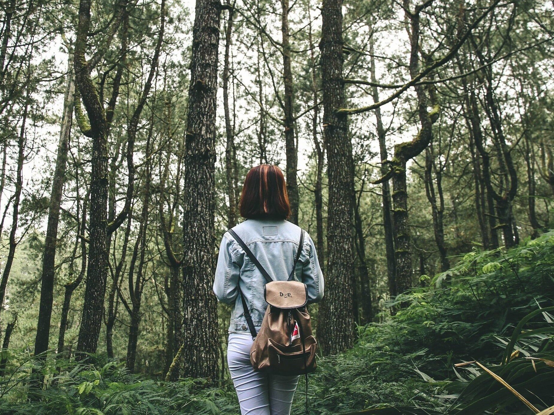 Walking in the forest is more beneficial to your health than we think.  It's not just about well-being
