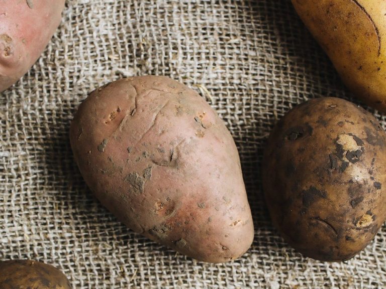 Potatoes are more expensive than ever.  The Irga variety has increased in price by over 80%.