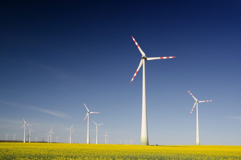 A way to get out of the crisis?  Renewable energy sources can help