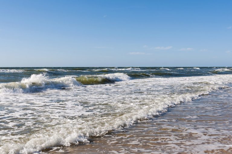 Is the Baltic Sea facing a disaster?  The Ministry responds to the concerns of the Supreme Audit Office