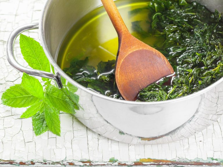 Homemade mint syrup is an excellent base for drinks and a remedy for stomach pain.  Get to know the recipe