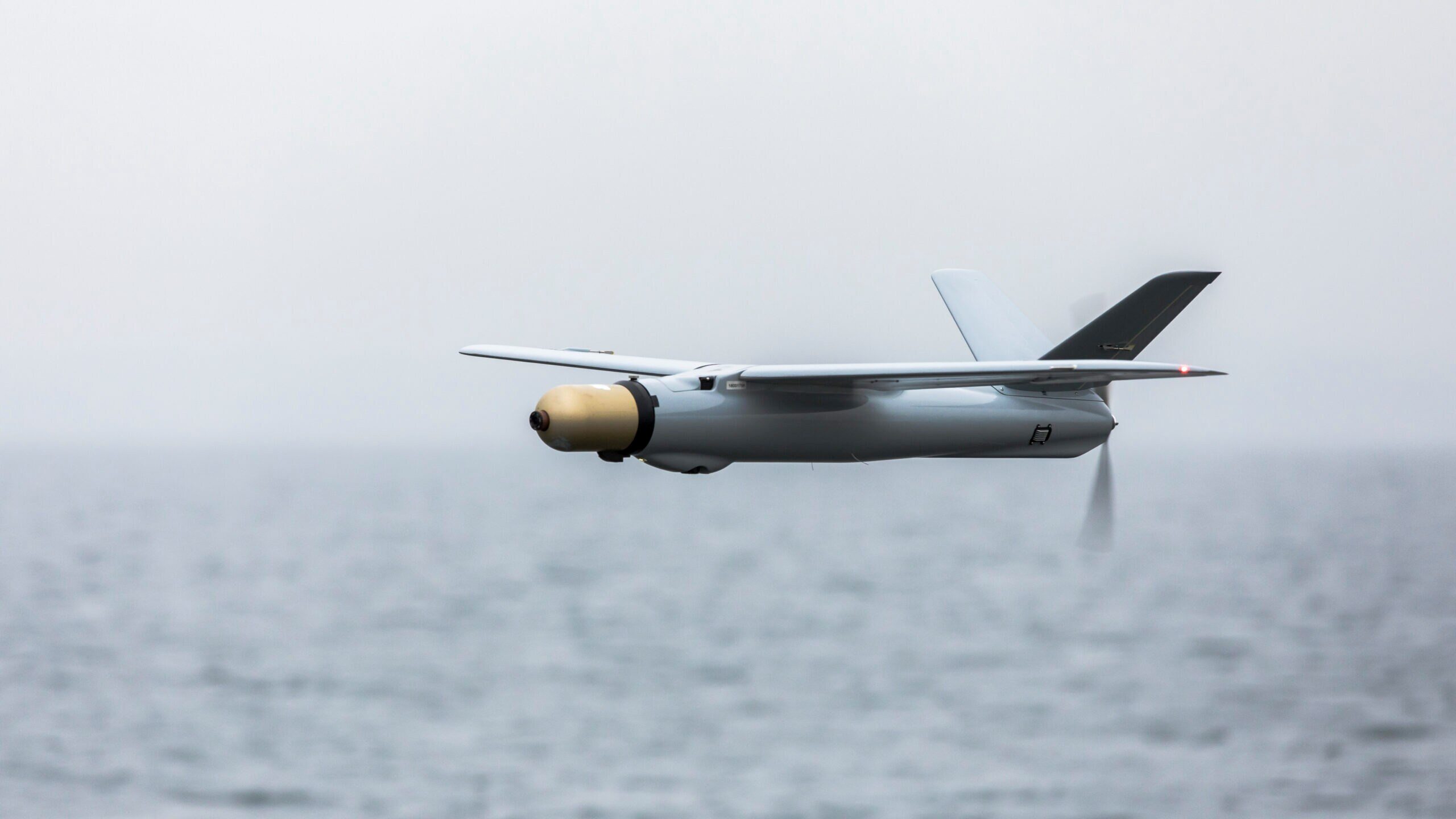 Polish drones are a terror for the Russians.  They just destroyed their anti-aircraft system