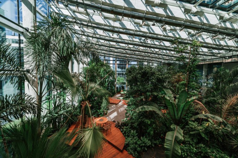 Tropical forest in an office building.  Olivia Business Center has opened a year-round garden
