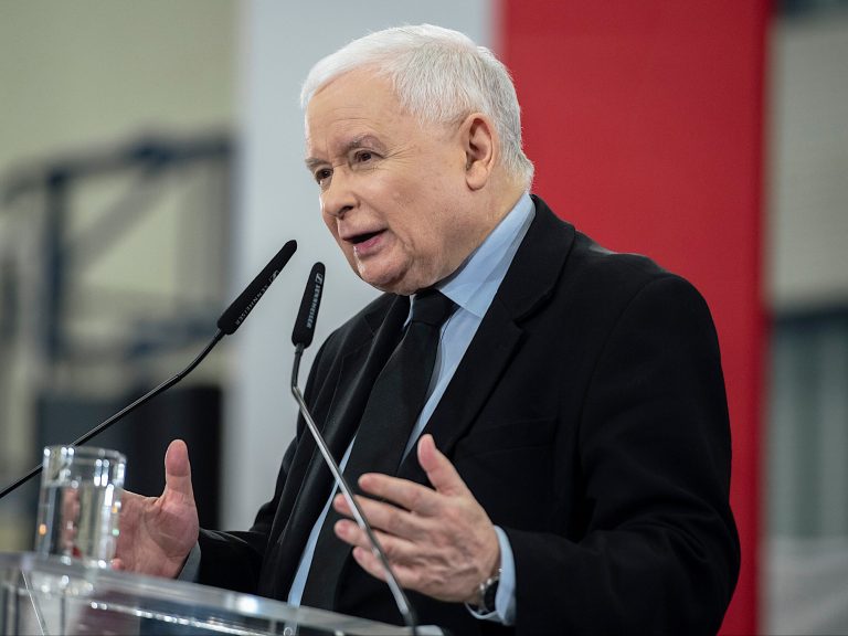 Kaczyński's decision divides PiS voters.  The survey results leave no doubts