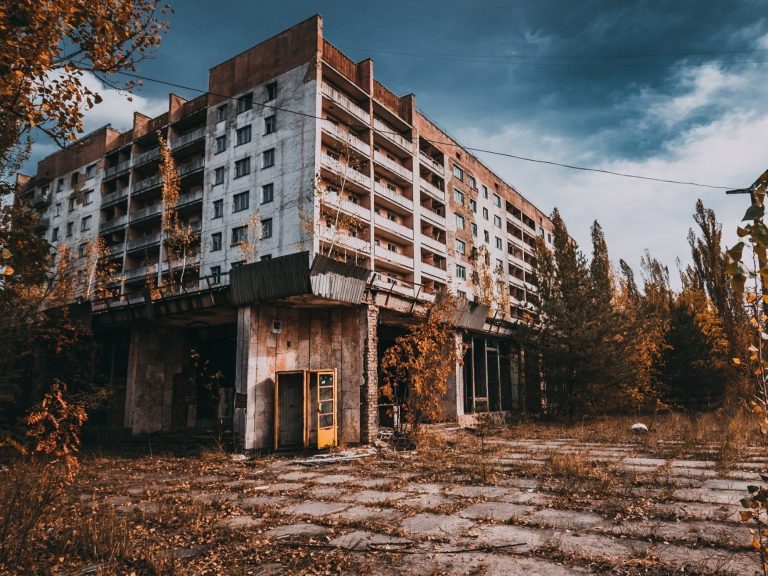 Radiation has no effect on them.  An extraordinary discovery by scientists in Chernobyl