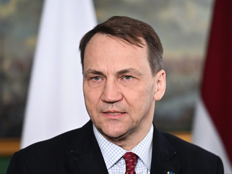 Sikorski recalled PiS's promise.  “There were supposed to be big plans, but there is stubble”