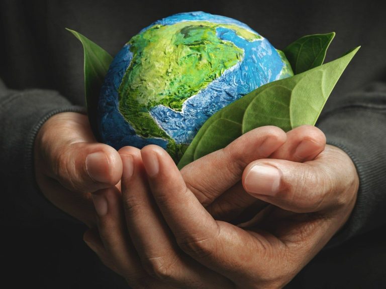 Earth Day is the largest ecological holiday in the world.  What will you do for the planet?