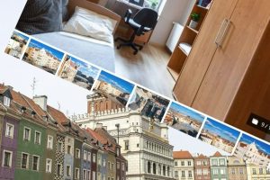 5 apartments, 30 rooms.  This offer went on sale in Poznań