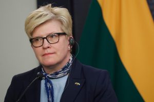 Lithuania is ready to send its troops to Ukraine.  He is waiting for a move from Kiev